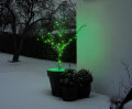 Lyskæde Basis 100 LED grøn 9,9 meter